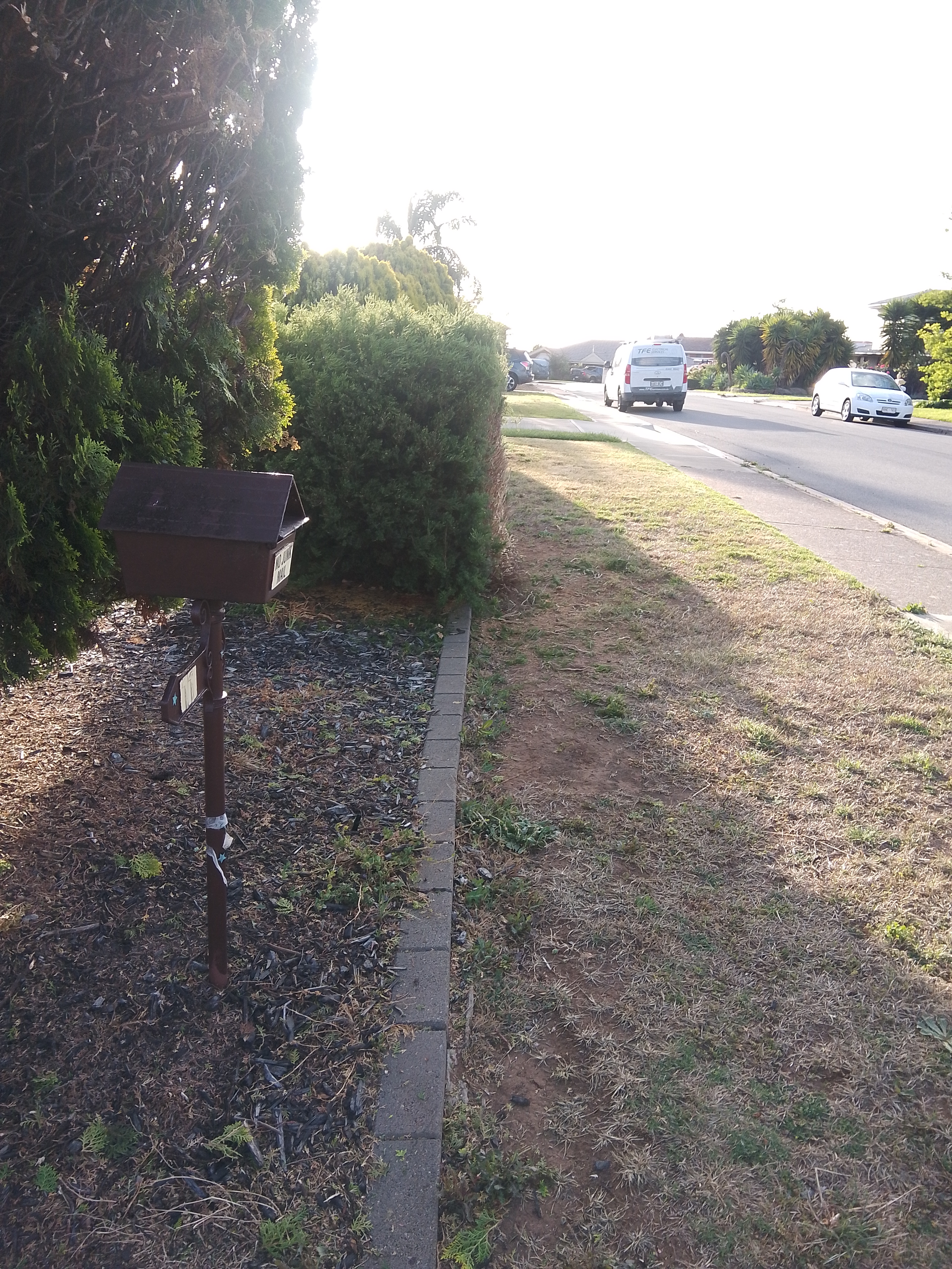 Seaview Downs front garden after