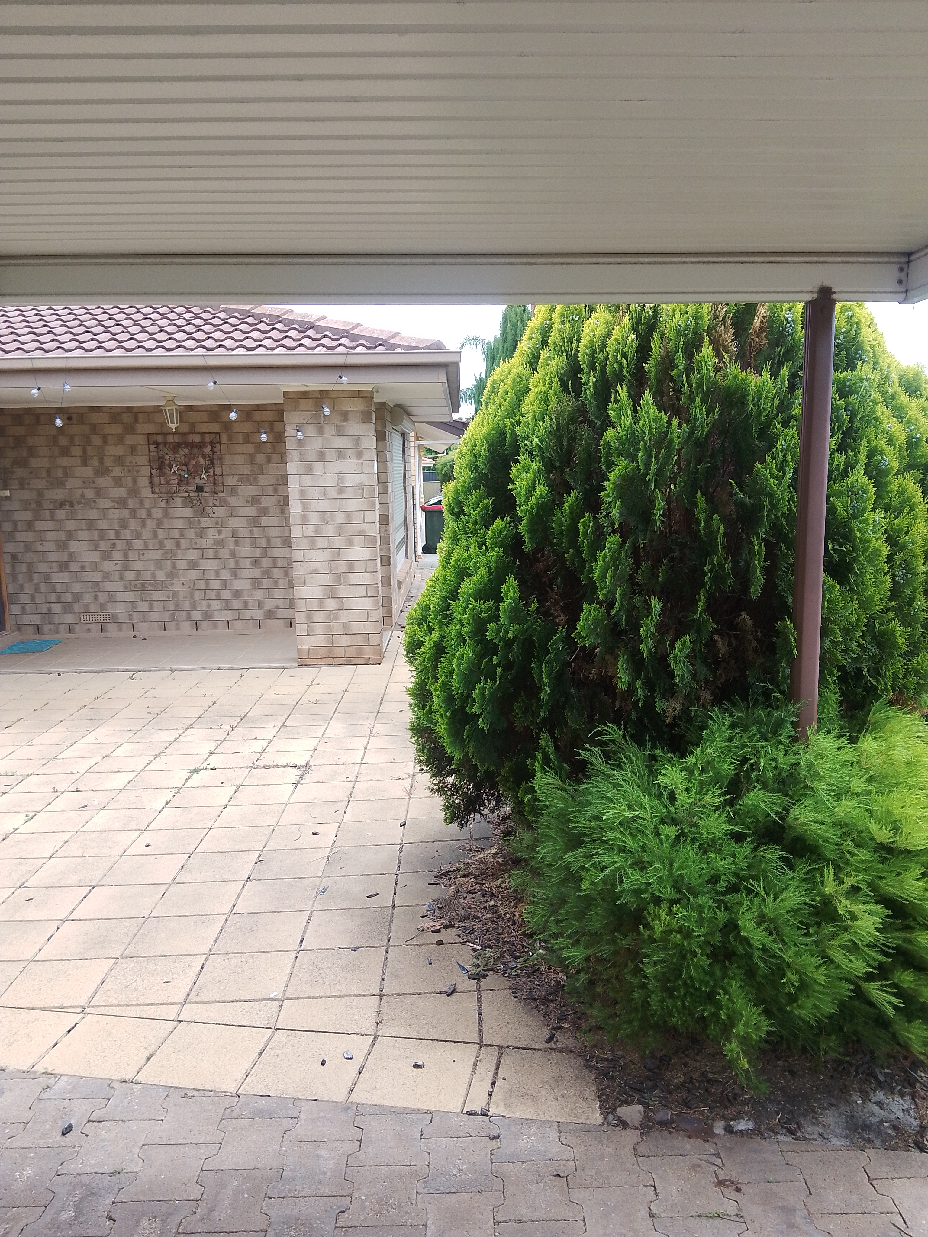 Front walkway before property maintenance