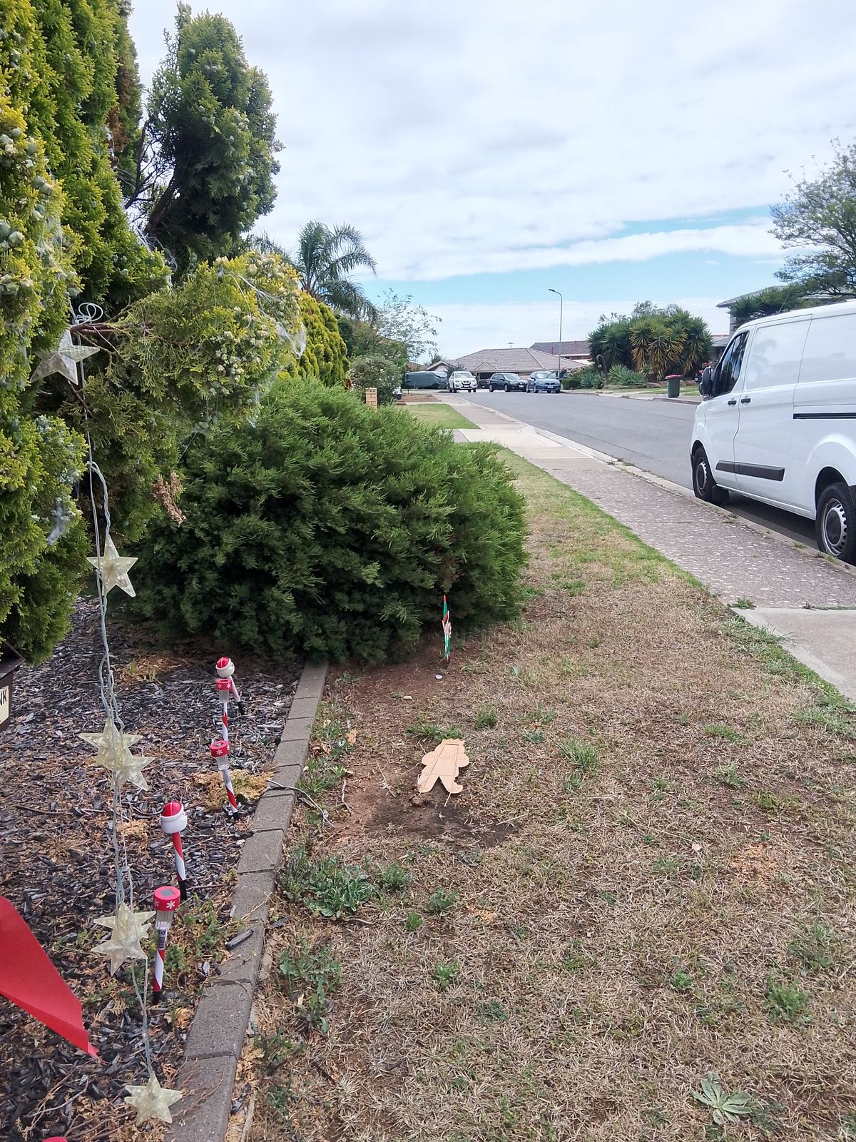 Front yard before garden tidy